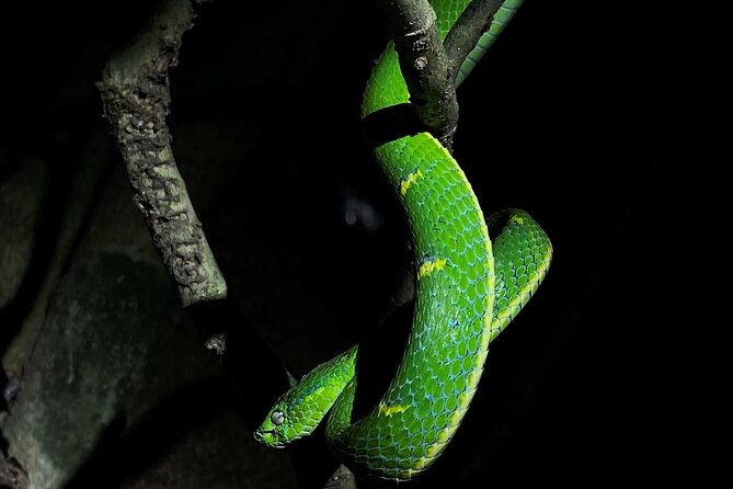 monteverde-tropical-forest-semi-private-tour