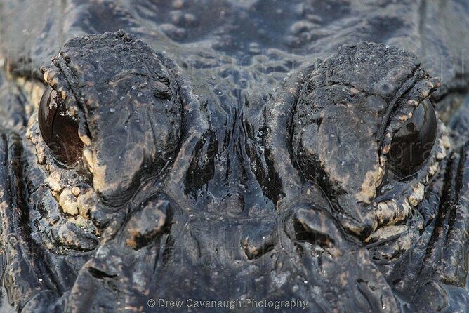 mosquito-lagoon-sight-fishing-charters-near-orlando-florida