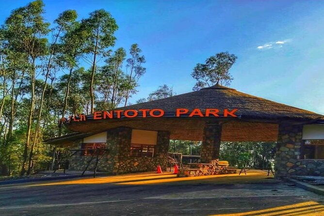 mount-entoto-view-point-museum-palace-local-market-food-tours-2