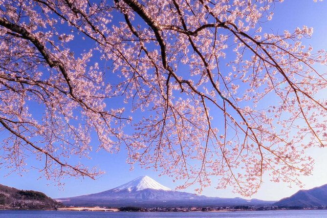 mount-fuji-full-day-tour-form-tokyo-lake-kawaguchi-yamanaka