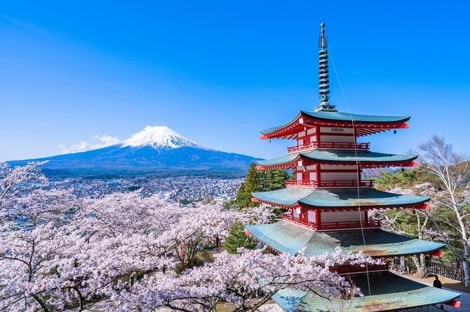 mount-fuji-private-custom-tour-from-tokyo