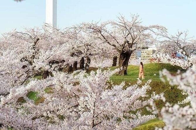 mount-fuji-sightseeing-one-day-tour-from-shinjuku