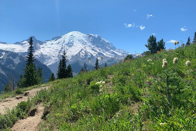 mount-rainier-full-day-private-tour-and-hike