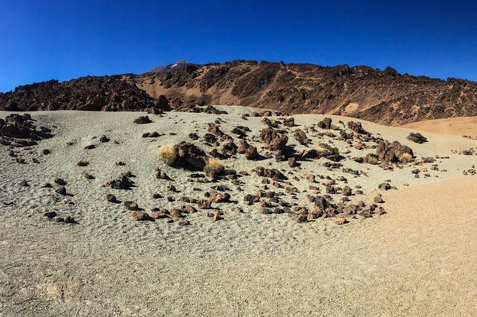 mount-teide-and-tenerife-north-with-food-wine-tasting-private-tour