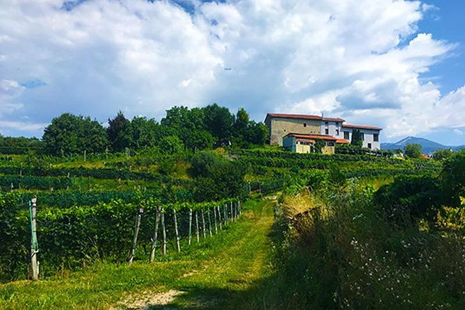mountain-bike-tour-in-spina-verde-natural-park