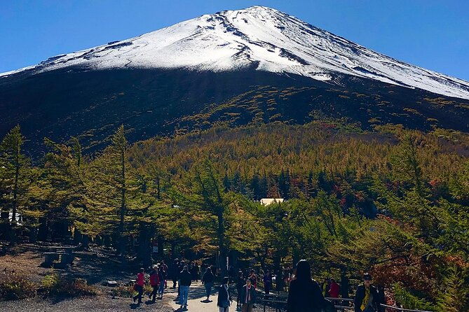 mt-fuji-bus-tour-from-tokyo-disband-at-gotemba-outlets-bus-stop