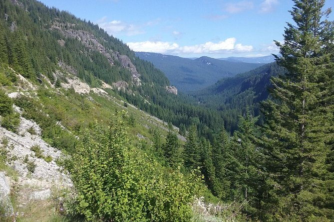 mt-rainier-private-tour-experience-in-suv-2