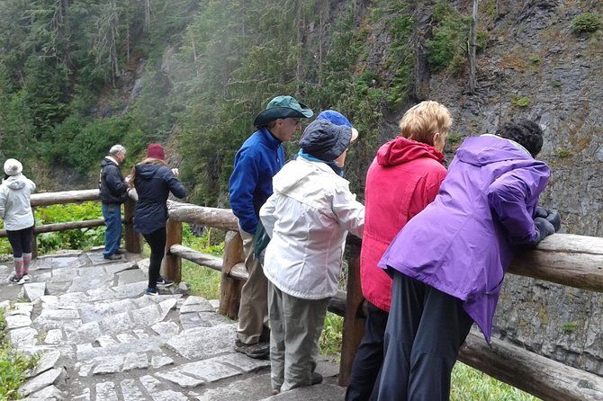 mt-rainier-private-tour-experience-in-suv