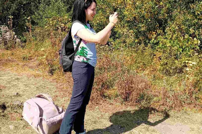 mt-vitosha-and-boyana-waterfall-hiking-tour-from-sofia