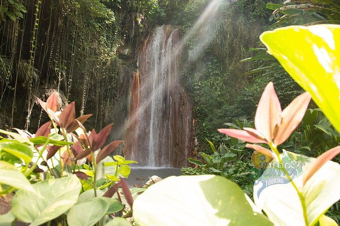 mud-bath-waterfall-and-beach-break-tour-groups-only