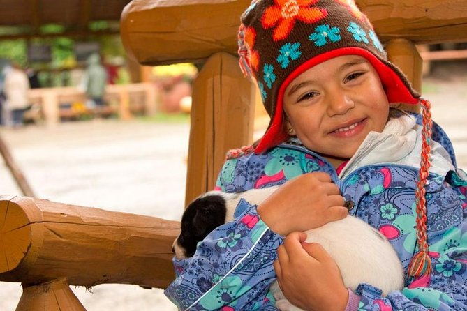 mushers-camp-and-smore-roasting-experience