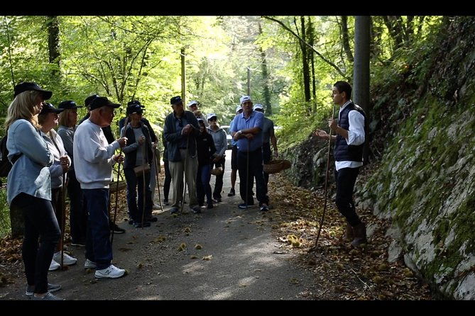 mushroom-or-truffle-hunting