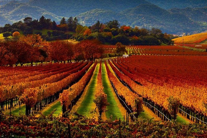 napa-sonoma-limo-up-to-9-passengers