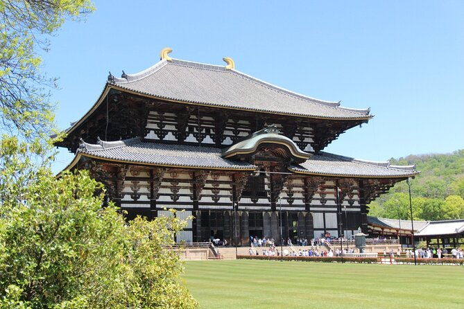 nara-day-trip-from-osaka-with-a-licensed-guide