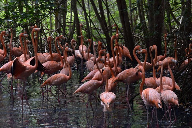 national-aviary