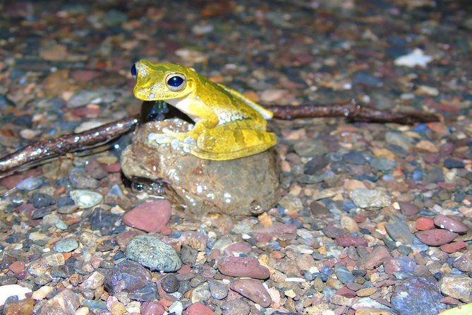 nativos-corcovado-night-hike-in-drakebay