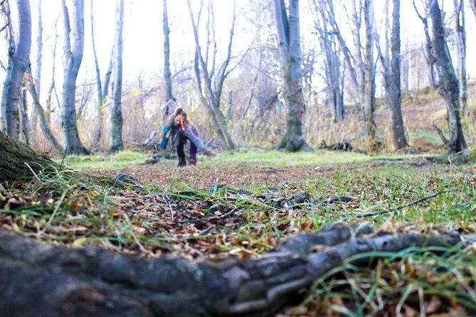 naturaldanza-dance-in-nature