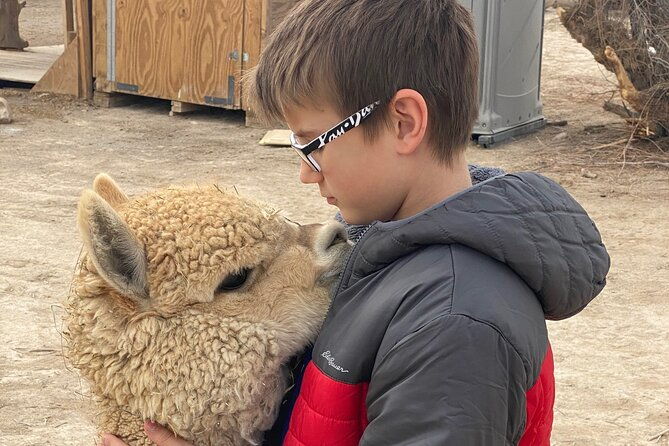nature-health-farms-petting-zoo-alpaca-farm-pahrump-death-valley-2