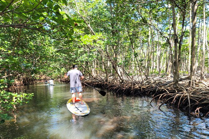 nature-stand-up-paddle-boarding-experience-in-miami-2