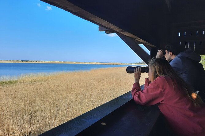 nature-walk-and-wildlife-tour-in-sobieszewo-island