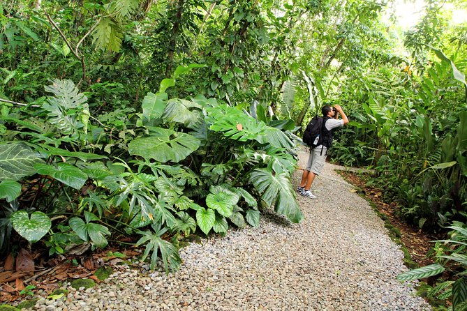 nature-walk-at-ecological-park-and-butterfly-garden-danaus