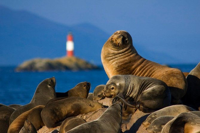 navigation-beagle-channel-isla-de-lobos