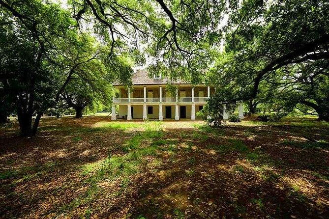 nawlins-luxury-laura-oak-alley-or-whitney-plantation-tour-w-transportation