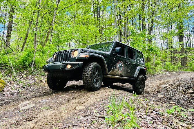 new-river-gorge-jeep-tour-half-day