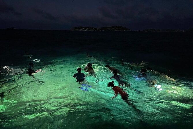 night-time-snorkel-at-turtletown-with-stars-lights-and-photos