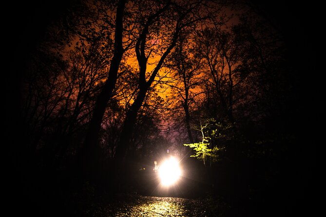night-tour-in-hoia-baciu-forest