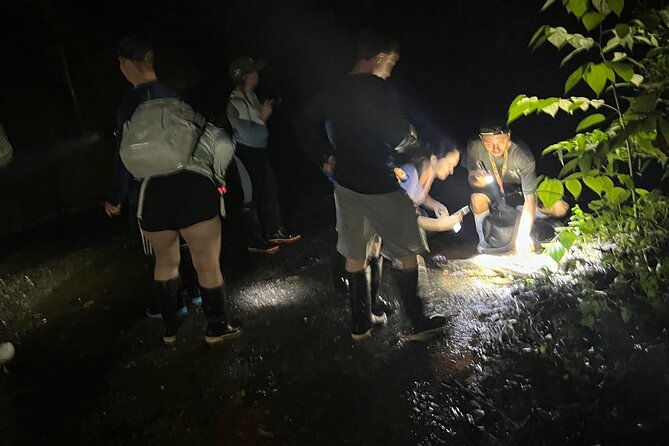night-walk-tour-and-jungle-dinner-in-jaco