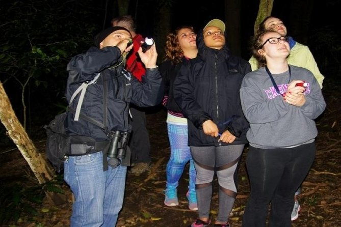 night-walk-tour