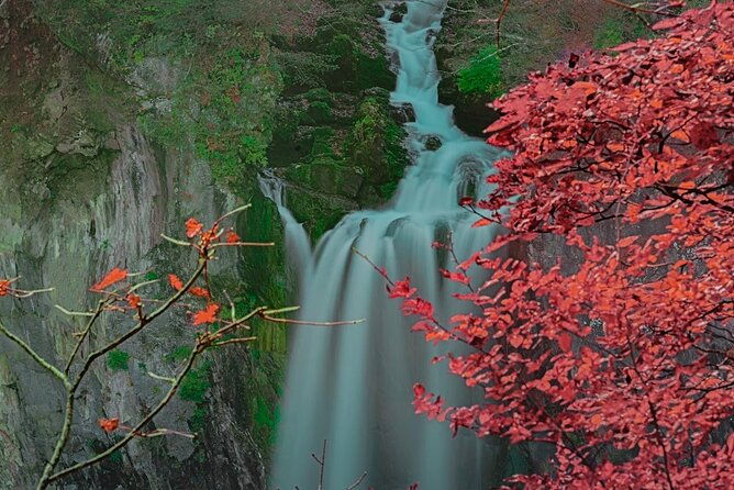 nikko-full-day-customize-private-tour