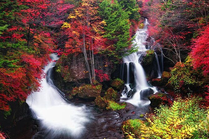 nikko-toshogu-shrine-day-trip-with-english-professional-guide