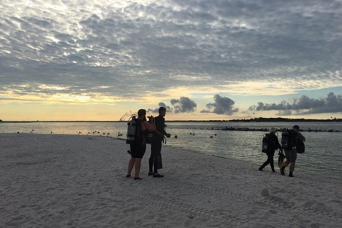 no-experience-required-to-discover-scuba-in-florida