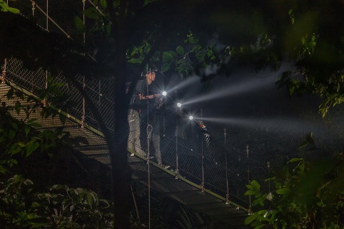nocturnal-walk-in-the-hanging-bridges