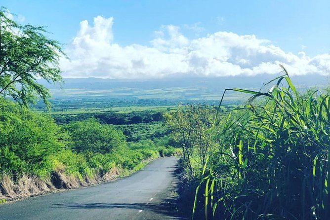 north-shore-tour-guide-hike
