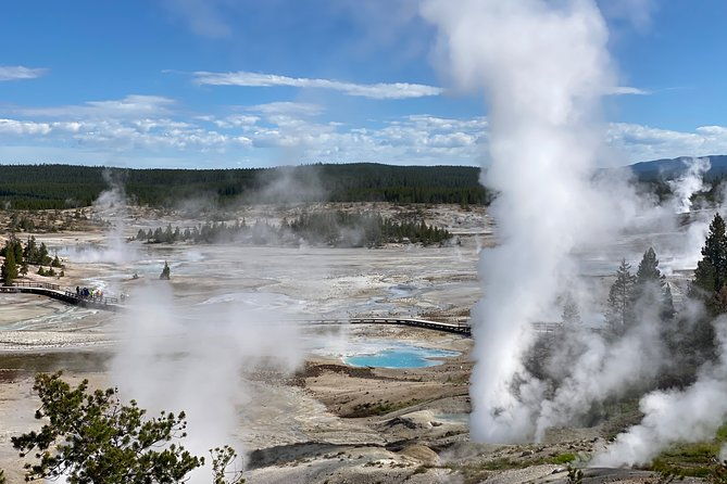 north-yellowstone-day-tour-lamar-valley-private-day-tour