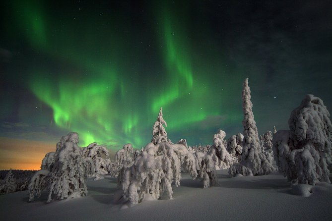 northern-lights-hunt-including-snacks-on-campfire-from-levi