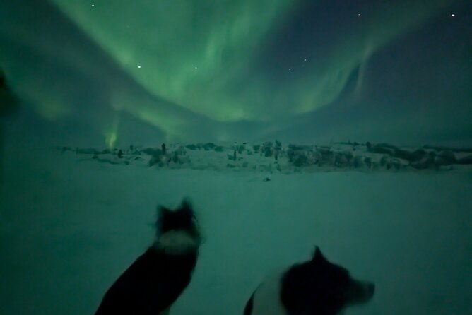northern-lights-minibus-chase-max-16-person-in-group