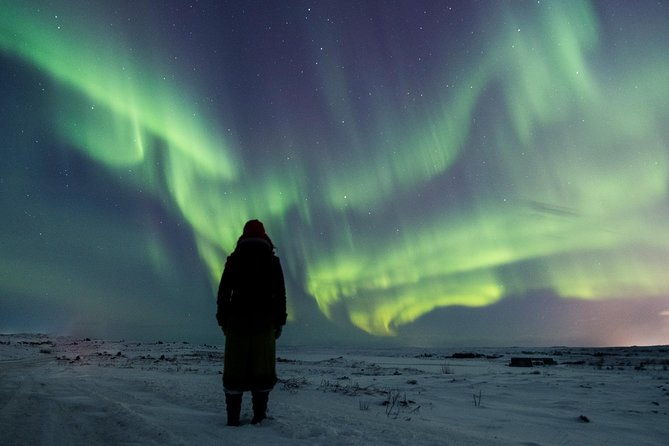 northern-lights-small-group-tour-from-reykjavik-with-free-photos