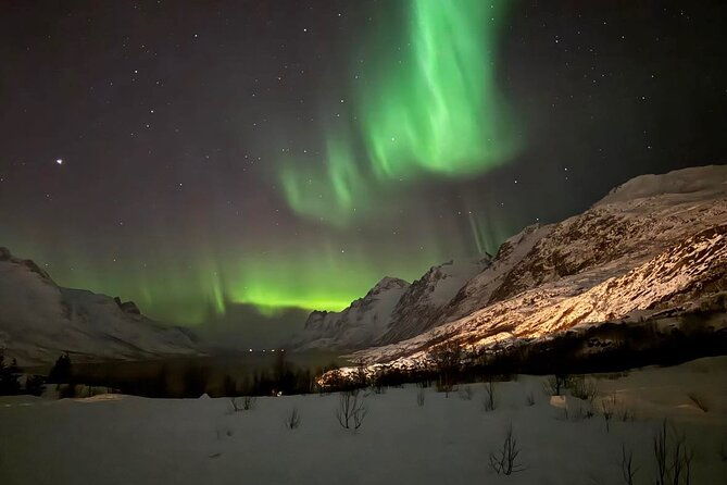 northern-lights-tour-with-hot-food-and-drinks-in-tromso