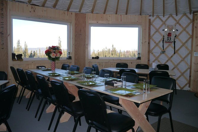 northern-lights-viewing-including-dinner-and-1-hour-dog-sledding
