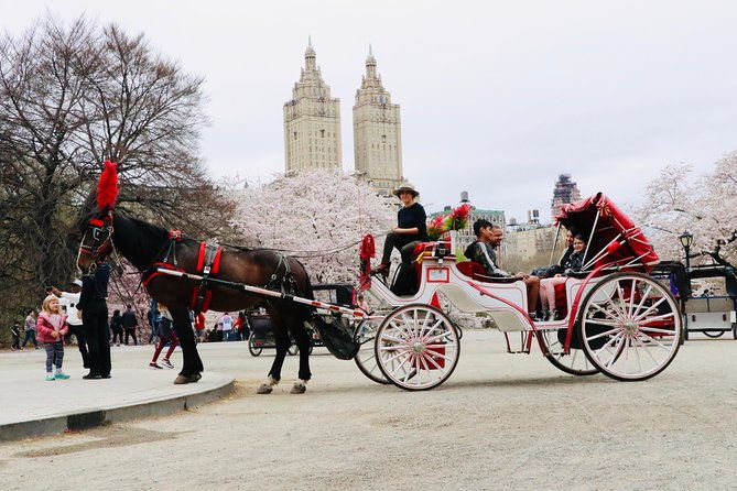 nyc-horse-carriage-ride-in-central-park-50-min-up-to-4-adults
