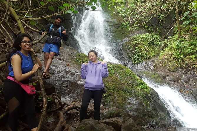 oahu-hidden-waterfall-hike-a-tropical-paradise-adventure