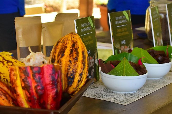 ocean-view-canopy-zip-line-chocolate-experience