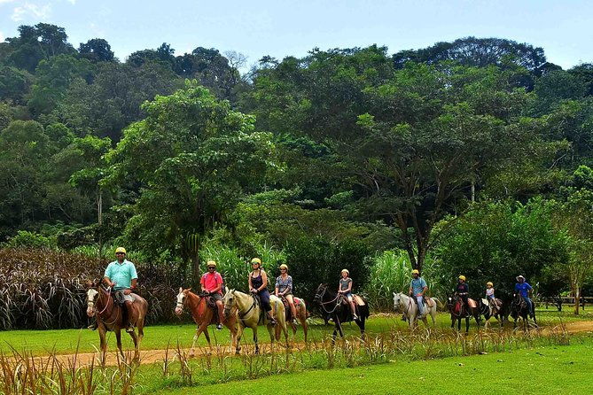 ocean-view-zip-line-horseback-riding-natural-pool-combo