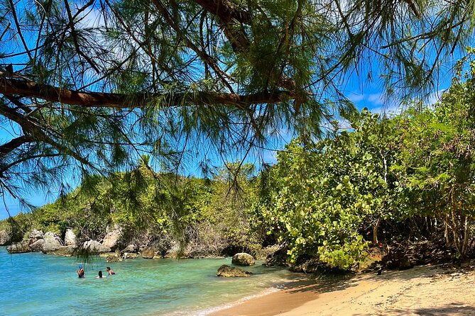 ochi-rios-beach-day-with-jerk-chicken-lunch