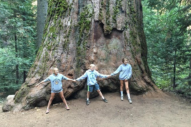 off-road-giant-sequoia-4x4-tour-2