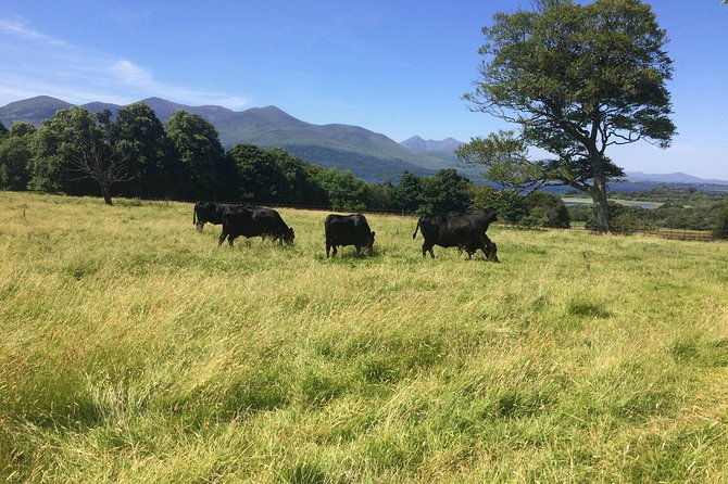 off-the-beaten-path-private-tour-of-ring-of-kerry